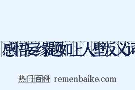 感悟妄缘题如上人壁反义词是什么意思的图片